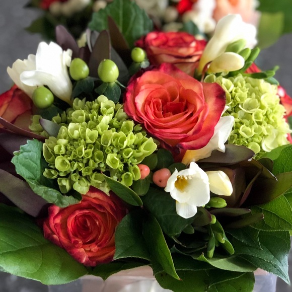 Meet your Posher, Ari - Picture 1 of 1